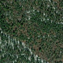 Satellite imagery of Bison Mountain, CA