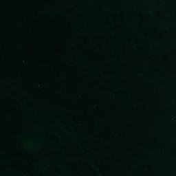 Satelita