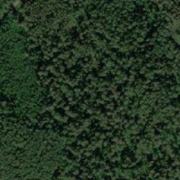 Satellite imagery of Харитониха, KZ