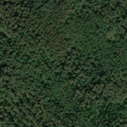 Satellite imagery of Харитониха, KZ