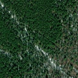 Satellite imagery of Bison Mountain, CA