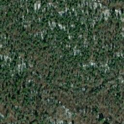 Satellite imagery of Bison Mountain, CA