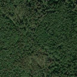 Satellite imagery of Харитониха, KZ