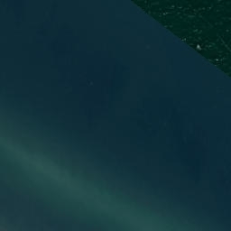 Satelita