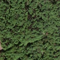 Satellite imagery of boundary_stone, DK