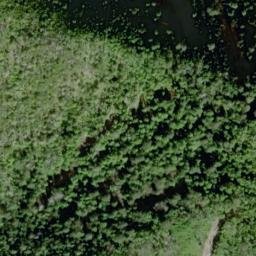 Satellite imagery of Point Cornwallis, US