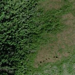 Satellite imagery of Liscome Point, US