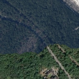Satelita