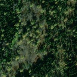 Satellite imagery of Ярыгино, KZ