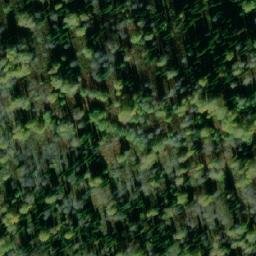 Satellite imagery of Ярыгино, KZ