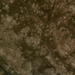 Satellite imagery of Vogelschutzwarte, DE