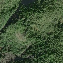 Satellite imagery of Cape Muzon, US