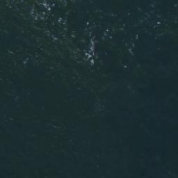 Satellite imagery of Wolk Point, US