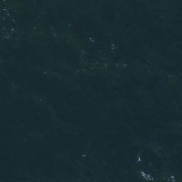 Satellite imagery of Wolk Point, US