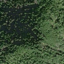 Satellite imagery of Cape Muzon, US