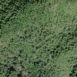 Satellite imagery of Cape Muzon, US