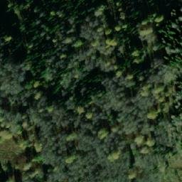 Satellite imagery of Согровая, RU