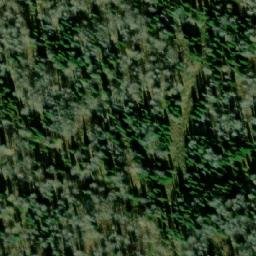 Satellite imagery of Согровая, RU