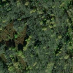Satellite imagery of Согровая, RU