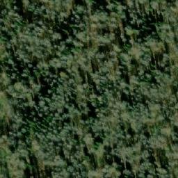 Satellite imagery of Согровая, RU
