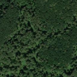 Satellite imagery of Чебурушка, KZ