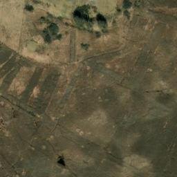 Satelita