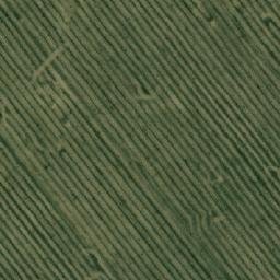 Satellite imagery of Новоникитино, KZ