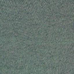 Satellite imagery of Salt Scar, GB