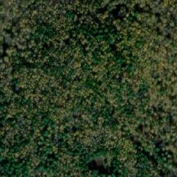 Satellite imagery of Красный Борок, KZ