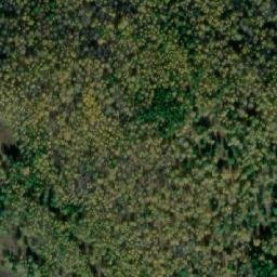 Satellite imagery of Красный Борок, KZ