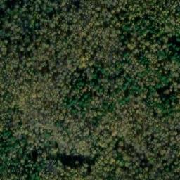 Satellite imagery of Красный Борок, KZ