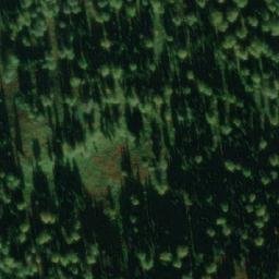 Satellite imagery of Окуниха, RU