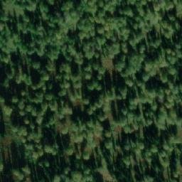 Satellite imagery of Окуниха, RU