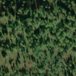Satellite imagery of Окуниха, RU