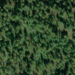 Satellite imagery of Окуниха, RU