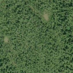 Satellite imagery of Flewin Point, CA