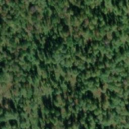 Satellite imagery of Окуниха, RU