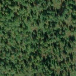 Satellite imagery of Окуниха, RU
