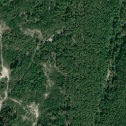 Satelita