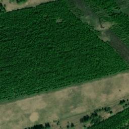 Satellite imagery of Старая Грива, KZ