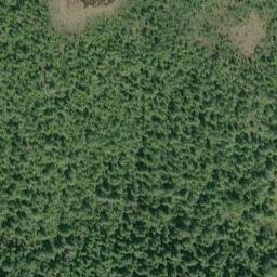 Satellite imagery of Grassy Point, CA