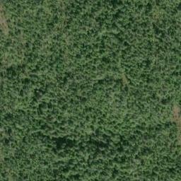 Satellite imagery of Lizzie Hill, CA