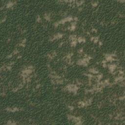 Satellite imagery of Tachek Mountain, CA