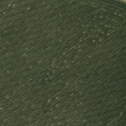 Satellite imagery of Новогородец, KZ