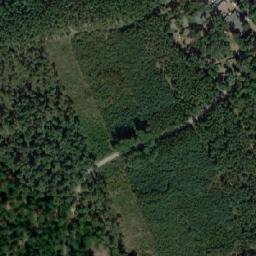 Satelita