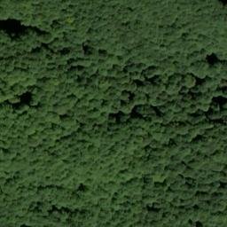 Satellite imagery of Äser Ort, DE