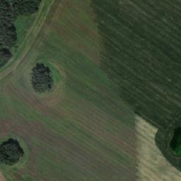 Satellite imagery of Урочище Березняки, KZ