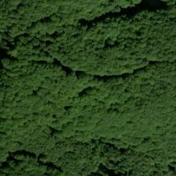 Satellite imagery of Kieler Kämme, DE