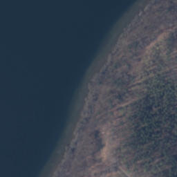 Satelita