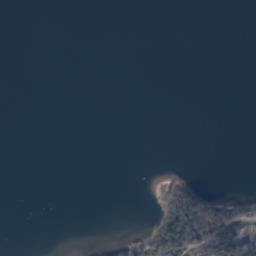 Satelita